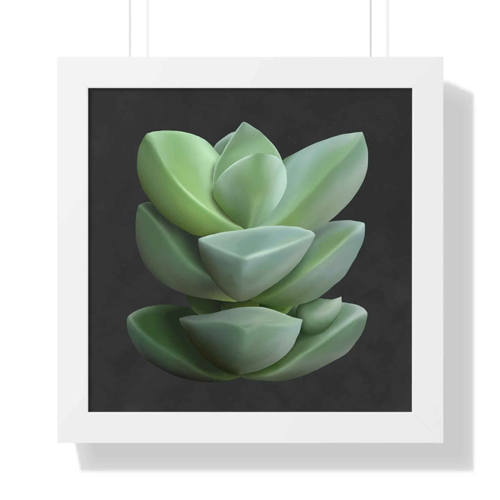 Crassula Succulent Framed Poster Vertical Botanical Wall Art