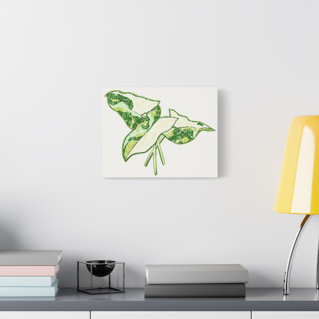 Marble Syngonium Canvas Botanical Wall Art Stretched Print On Durable Cotton Canvas Matte Finish
