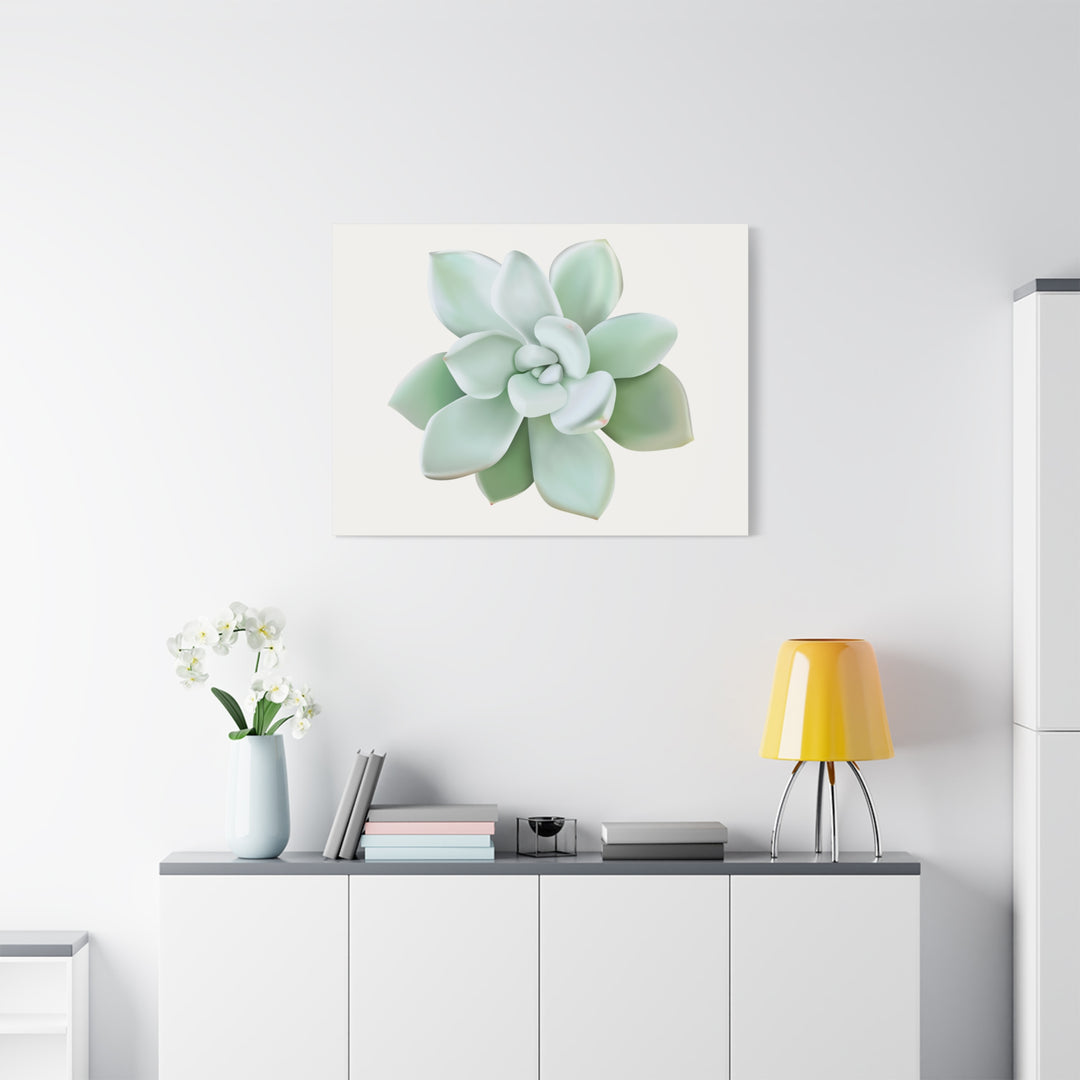 Succulent Canvas Art Pachyveria Haagei Print On Matte Finish Canvas Botanical Wall Decor