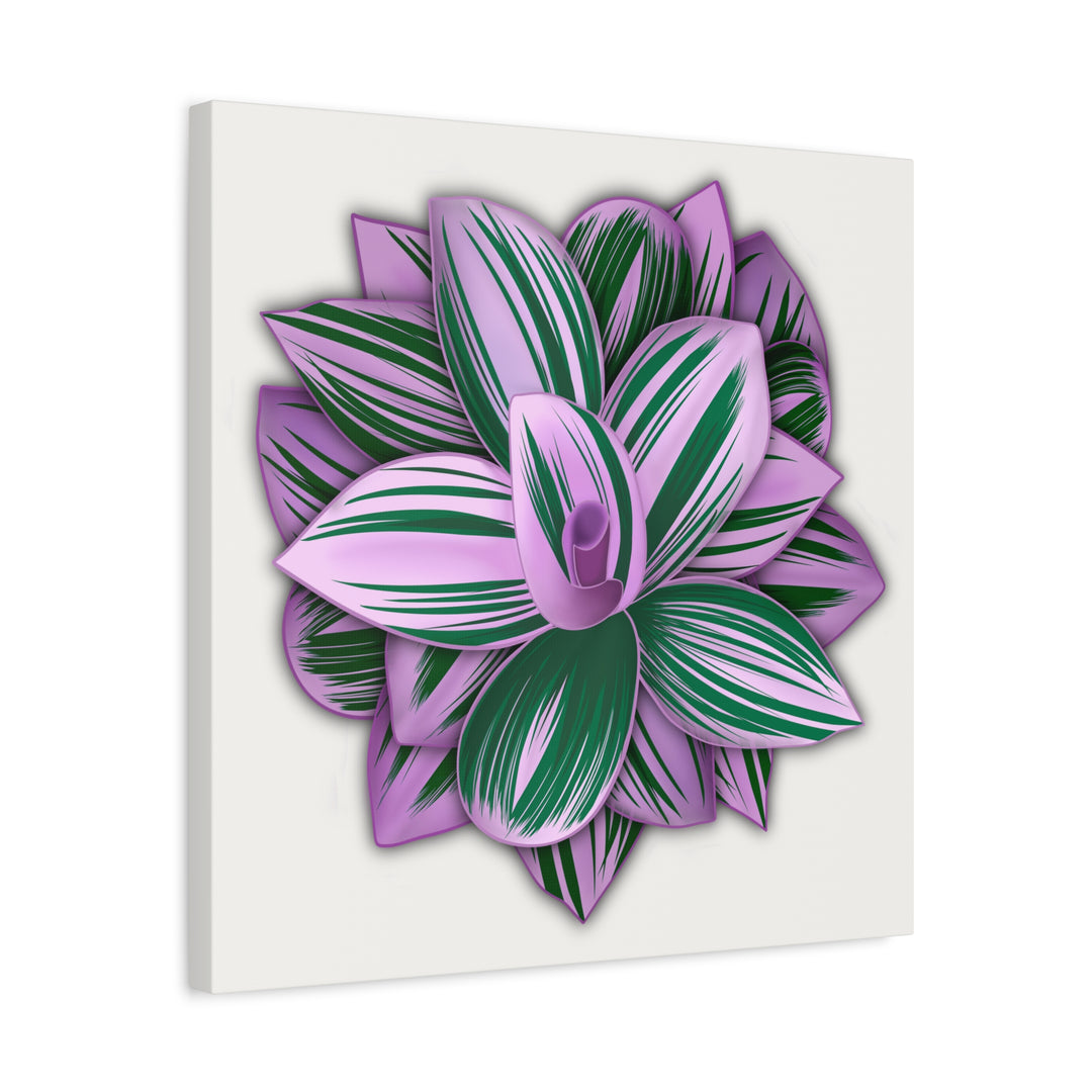 Tradescantia Nanouk Canvas Botanical Wall Art Print Pink Green Foliage On Stretched Cotton Canvas