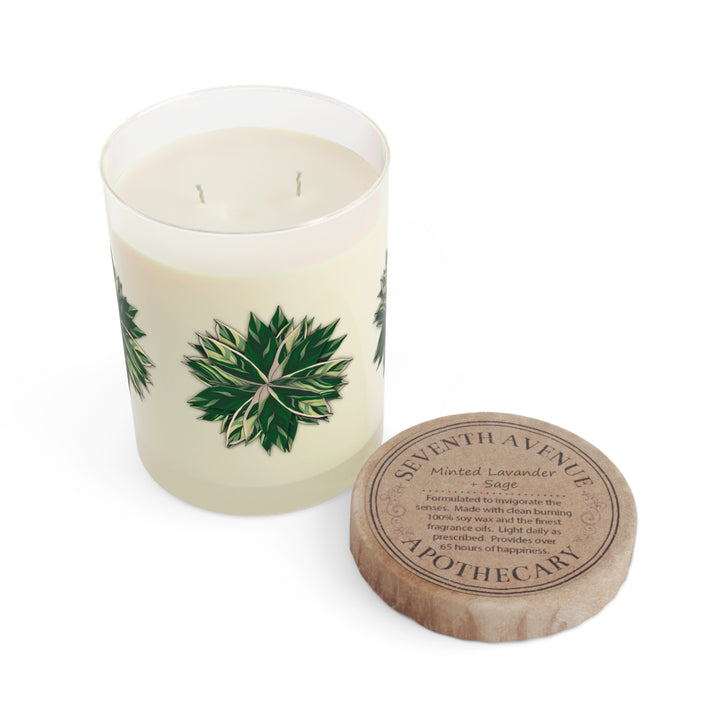 Stromanthe Triostar 11oz Scented Soy Candle Trio White Tea Fig Minted Lavender And Sage Ocean Mist Moss