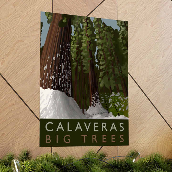 Calaveras Big Trees Print – Unframed Wall Art