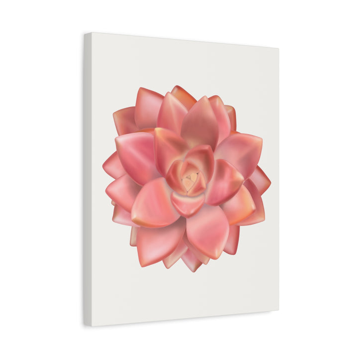 Succulent Canvas Art California Sunset Rosette Botanical Wall Art Print The Potted Pixel