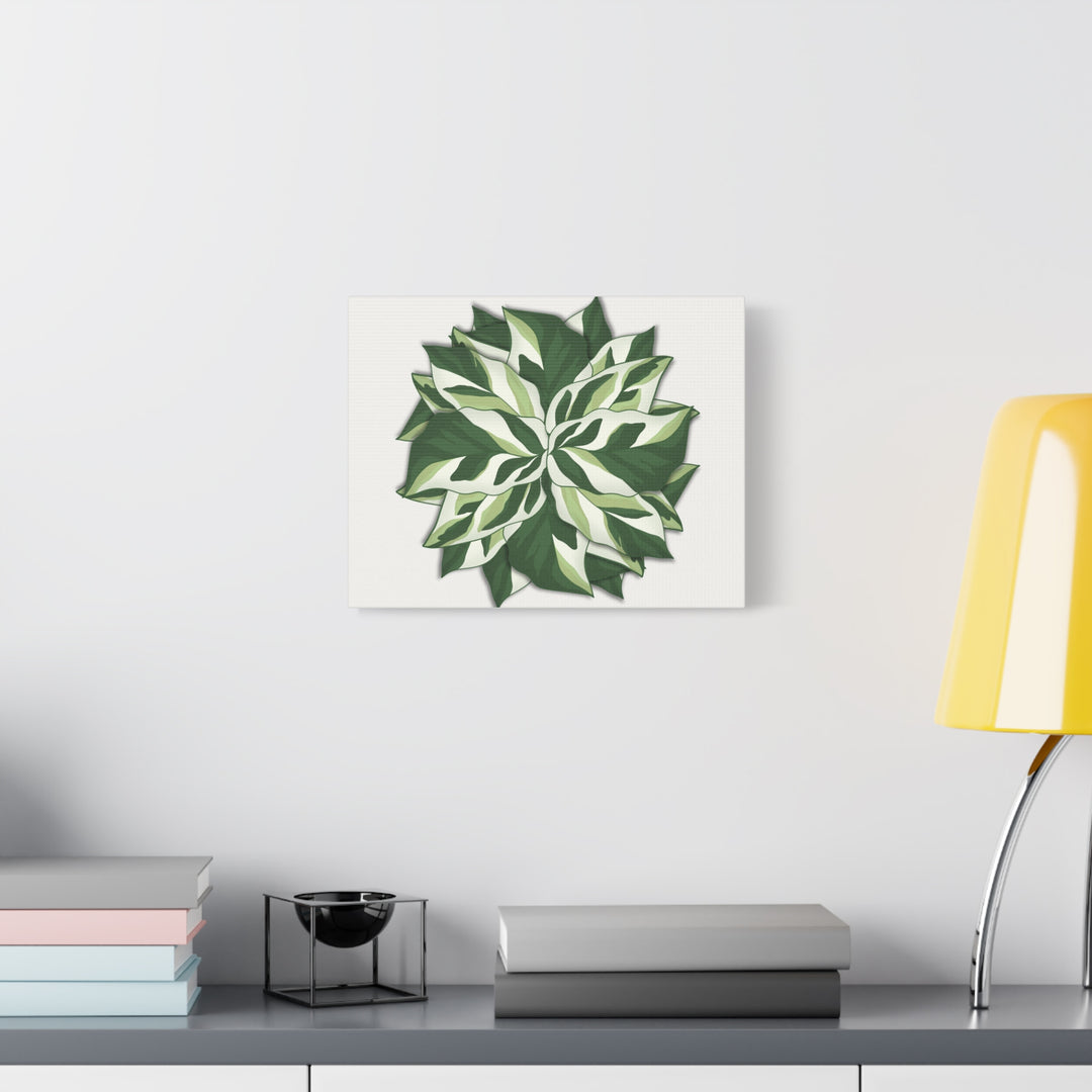 Calathea White Fusion Canvas Botanical Art Print On Stretched Cotton Canvas For Indoor Wall Decor