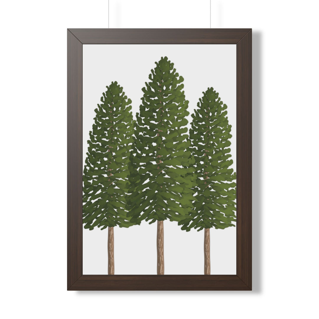Ponderosa Pine Framed Print – Wall Art