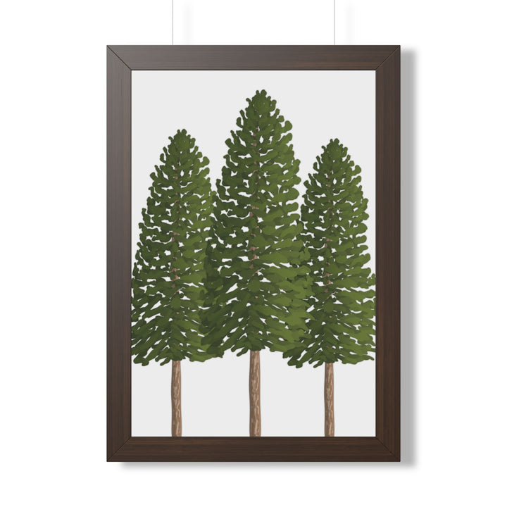 Ponderosa Pine Framed Print – Wall Art