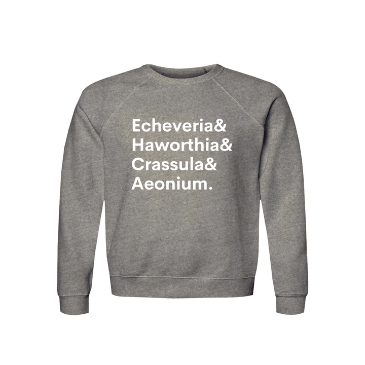 Plant Lover Sweatshirt The Potted Pixel Organic Cotton Raglan for Plant Lovers Echeveria Haworthia Crassula Aeonium Cozy