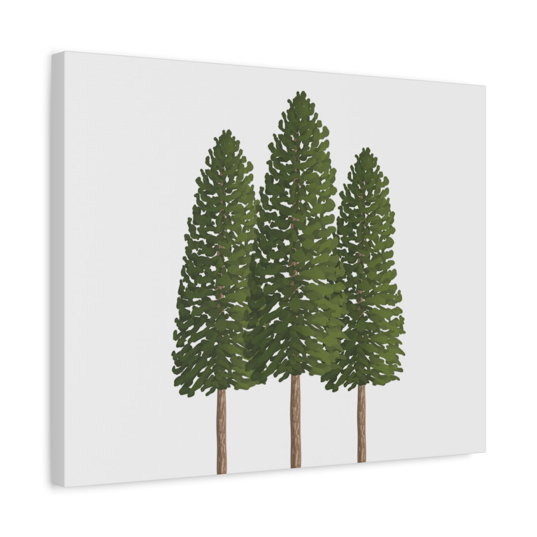 Three Ponderosa Pine Canvas Wall Art Matte Stretched Print Minimalist Forest Landscape Decor