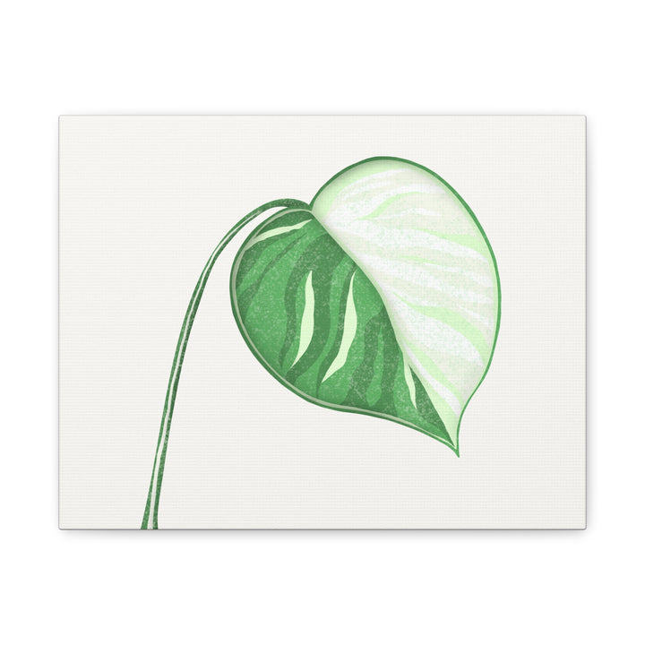Monstera Albo Canvas Large Stretched Premium Quality Cotton Canvas Wall Art Tropical Leaf Poster Decor