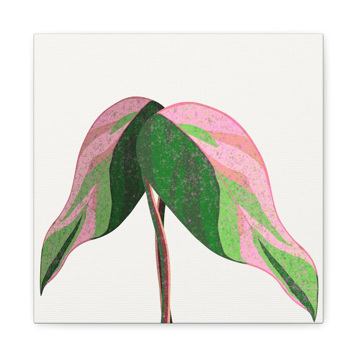 Pink Princess Philodendron Canvas Print Botanical Wall Art For Indoor Decor Modern Living Room Poster