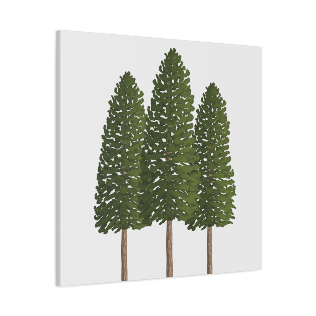 Three Ponderosa Pine Canvas Wall Art Matte Stretched Print Minimalist Forest Landscape Decor