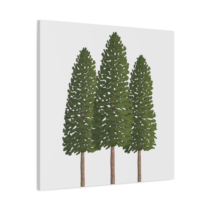 Three Ponderosa Pine Canvas Wall Art Matte Stretched Print Minimalist Forest Landscape Decor