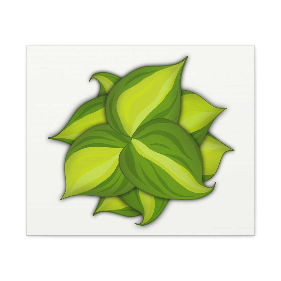 Philodendron Brasil Canvas Print Matte Stretched Canvas Indoor Plant Art For Modern Greenery Decor