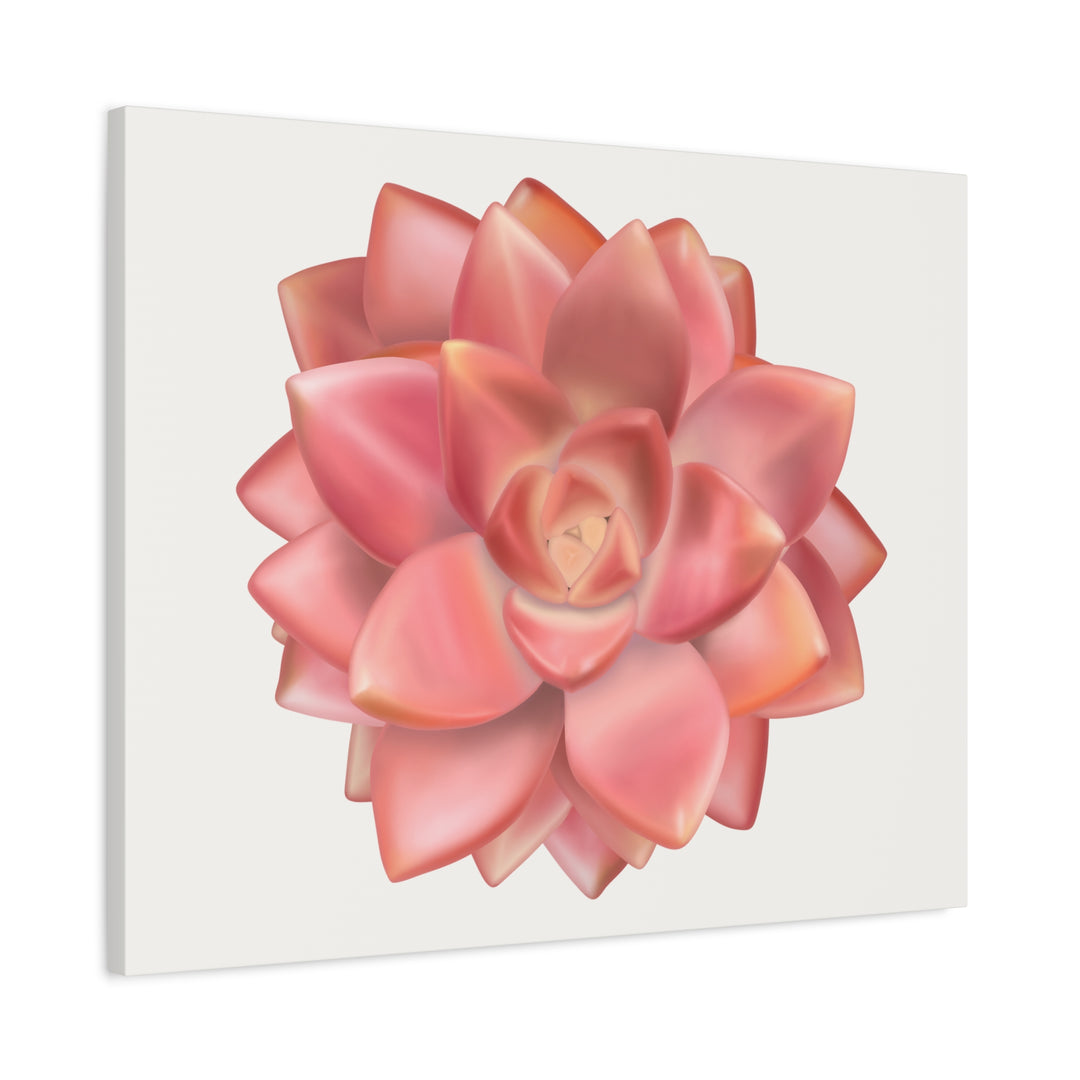 Succulent Canvas Art California Sunset Rosette Botanical Wall Art Print The Potted Pixel