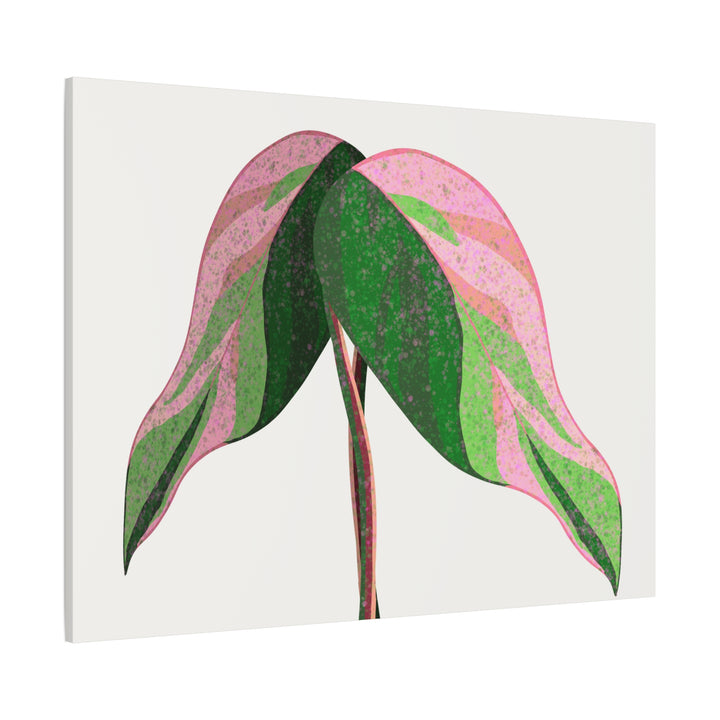 Pink Princess Philodendron Canvas Print Botanical Wall Art For Indoor Decor Modern Living Room Poster