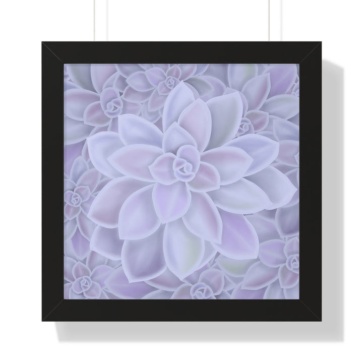 Graptopetalum Murasaki Succulent Framed Print – Botanical Wall Art - The Potted Pixel