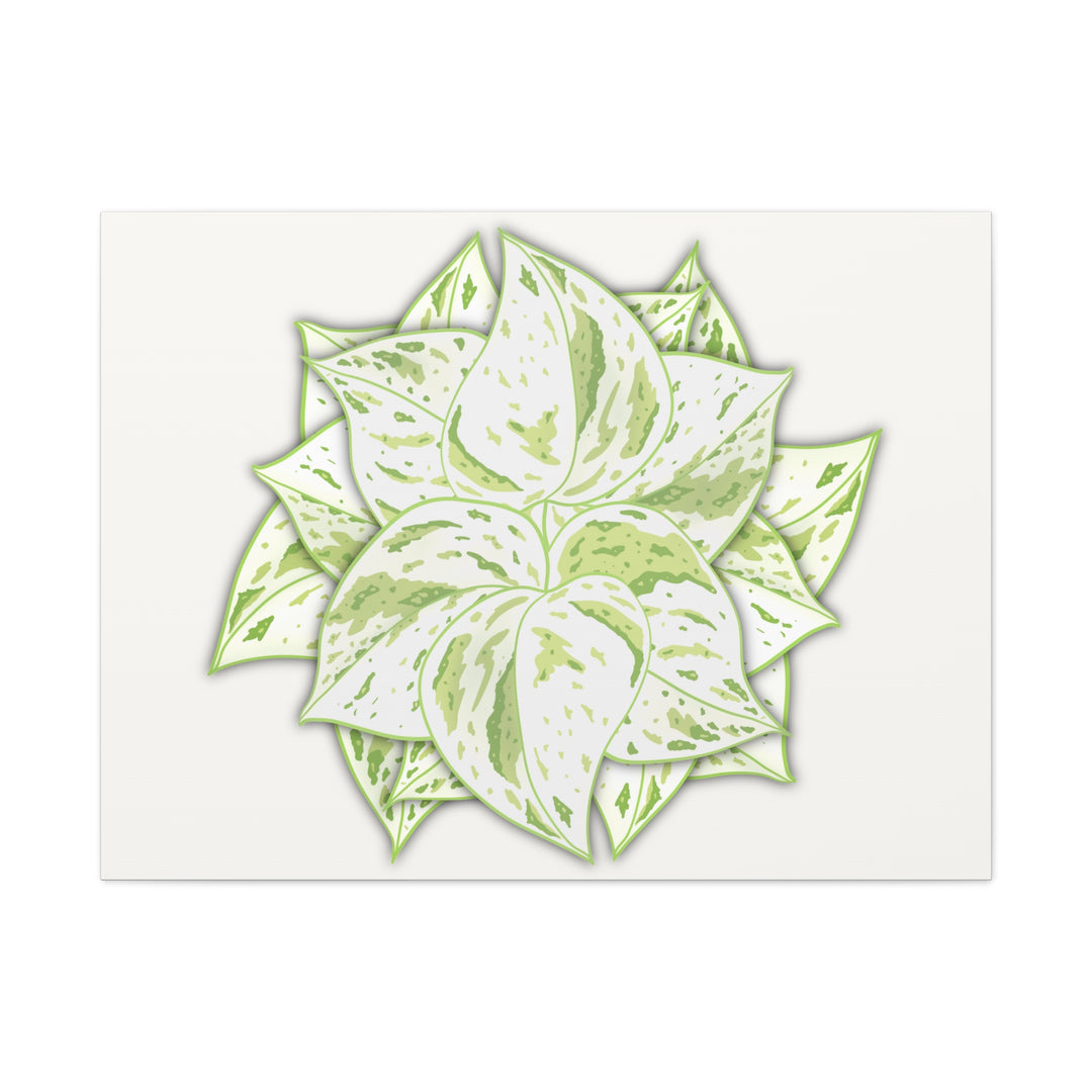 Snow Queen Pothos Canvas Wall Art Variegated Indoor Plant Leaf Poster Print Cotton Canvas