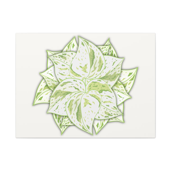 Snow Queen Pothos Canvas Wall Art Variegated Indoor Plant Leaf Poster Print Cotton Canvas