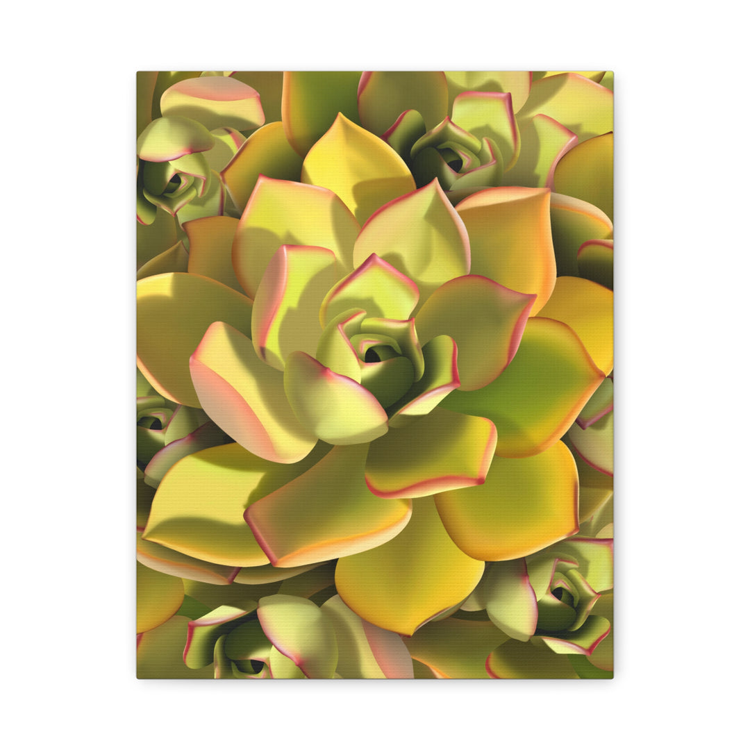 Succulent Canvas Art Vibrant Aeonium Print On Matte Canvas Wall Decor 12x18 Inches Indoor Home