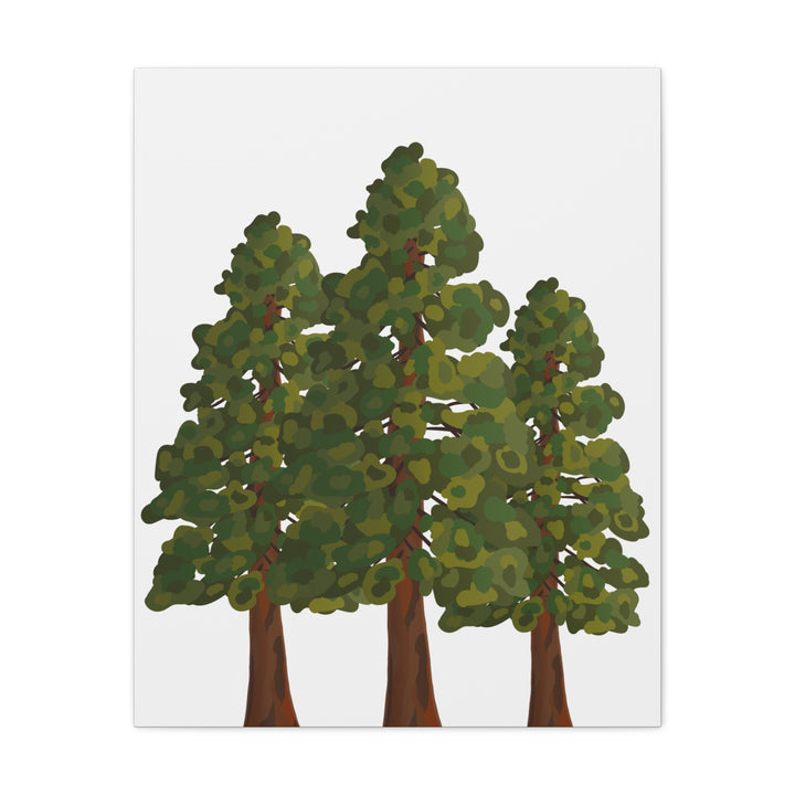 Coastal Redwoods Matte Canvas Print On 1.25 Inch Stretched Canvas For Serene Forest Wall Art In Living Rooms