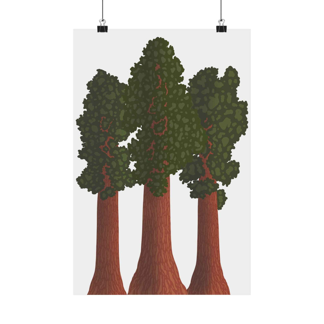 Giant Sequoias Unframed Print