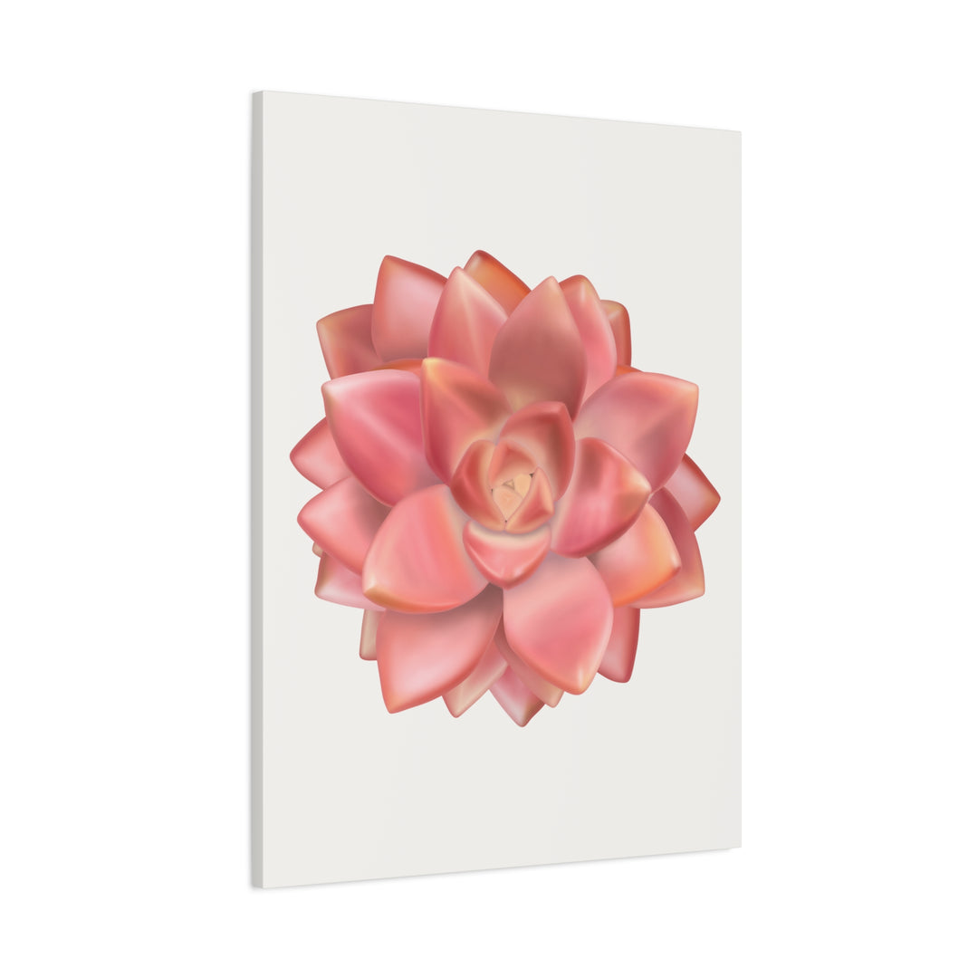 Succulent Canvas Art California Sunset Rosette Botanical Wall Art Print The Potted Pixel