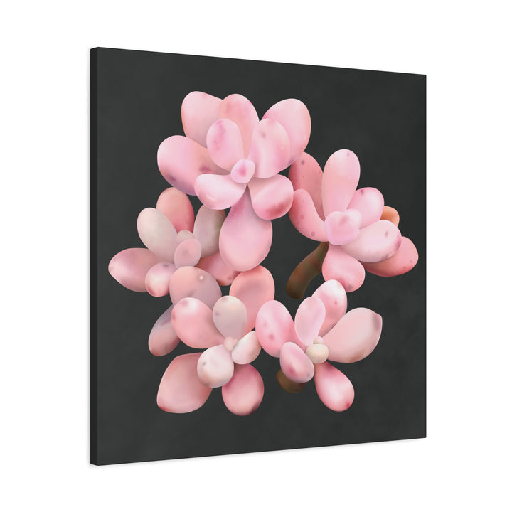 Pink Moonstone Canvas Print – Botanical Wall Art