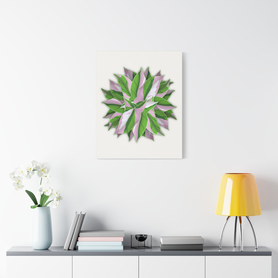Syngonium Tricolor Canvas Print – Botanical Wall Art - The Potted Pixel