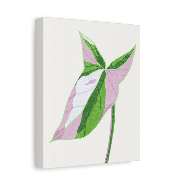 Syngonium Tricolor Canvas Print – Botanical Wall Art - The Potted Pixel