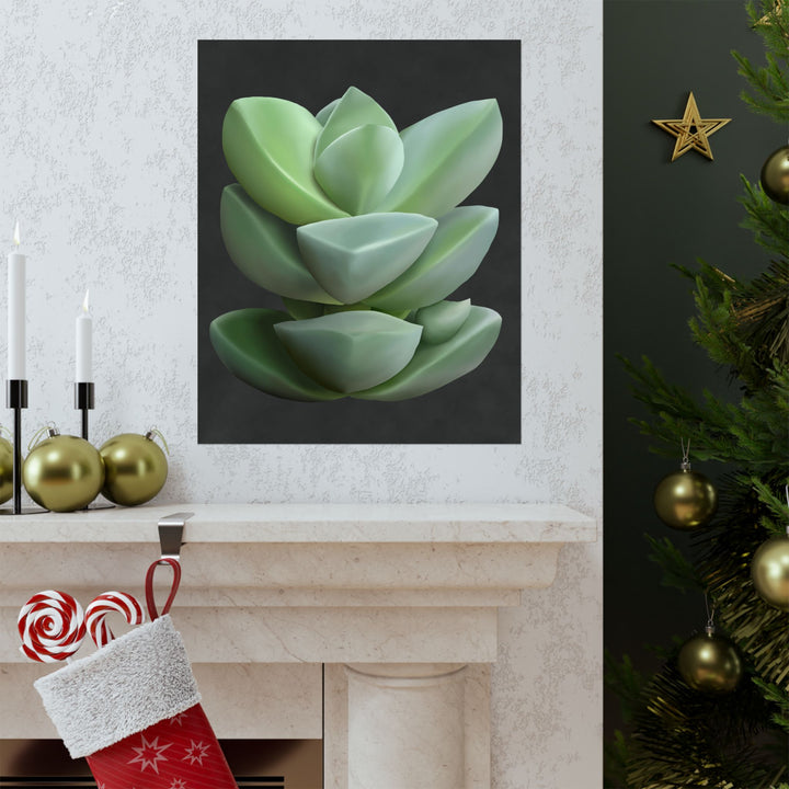 Crassula Botanical Print – Unframed Wall Art