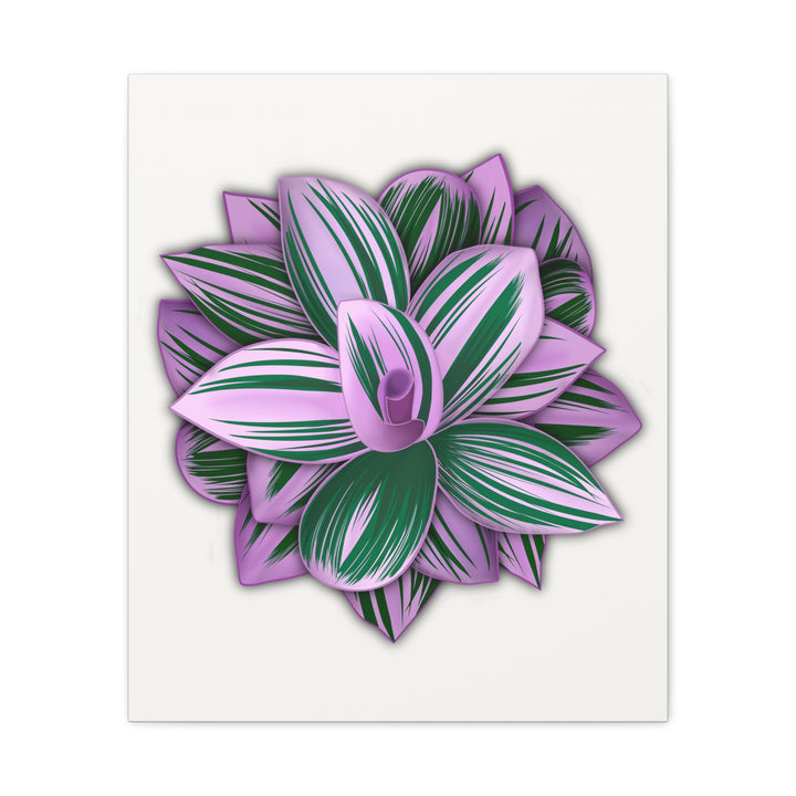 Tradescantia Nanouk Canvas Botanical Wall Art Print Pink Green Foliage On Stretched Cotton Canvas