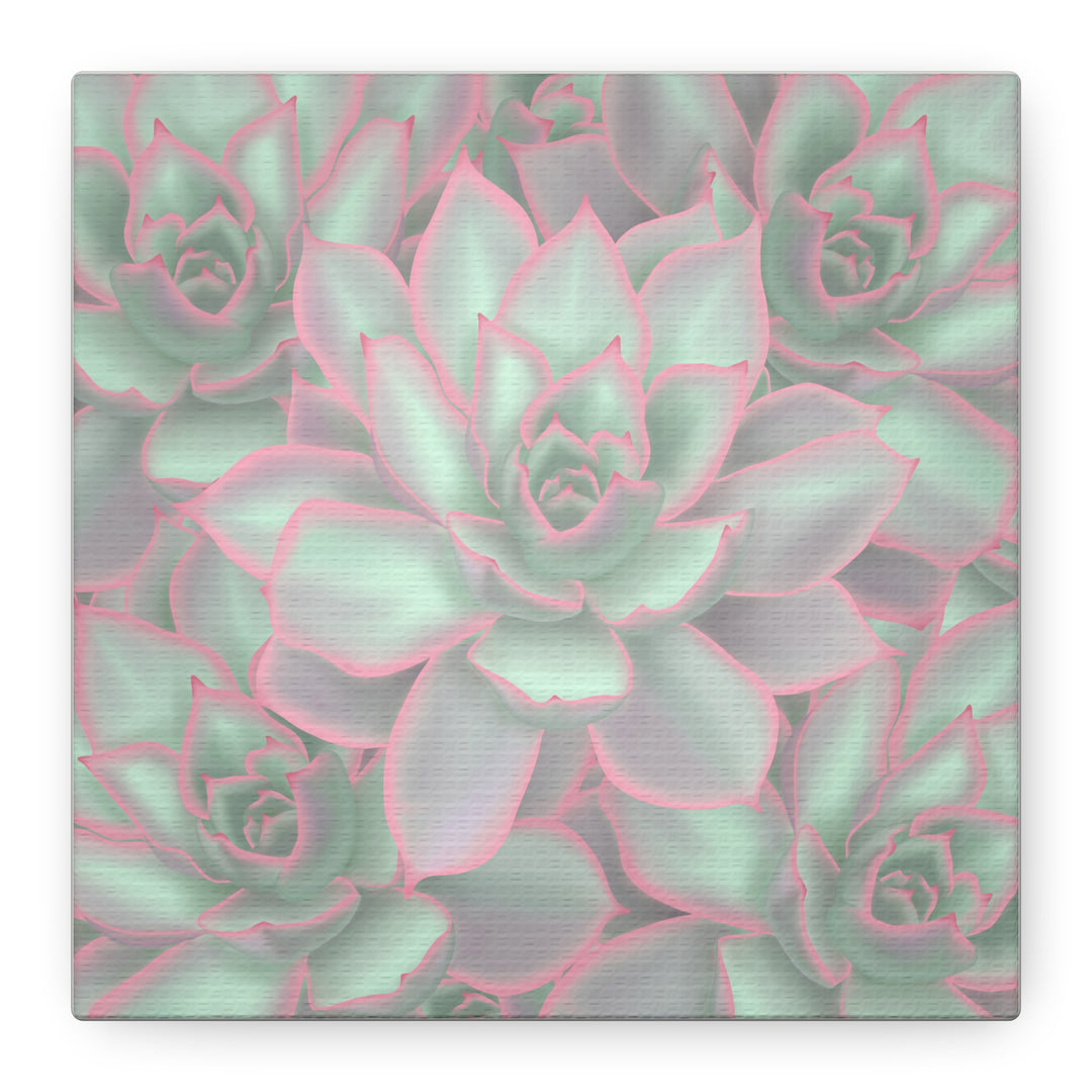 Echeveria Violet Queen Canvas Wall Art Succulent Print Matte Botanical Decor For Indoor Spaces