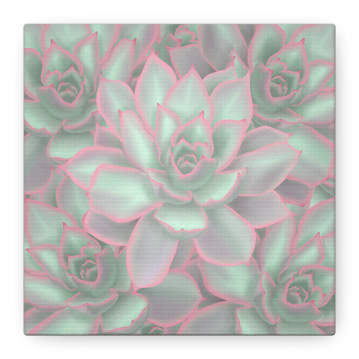 Echeveria Violet Queen Canvas Wall Art Succulent Print Matte Botanical Decor For Indoor Spaces