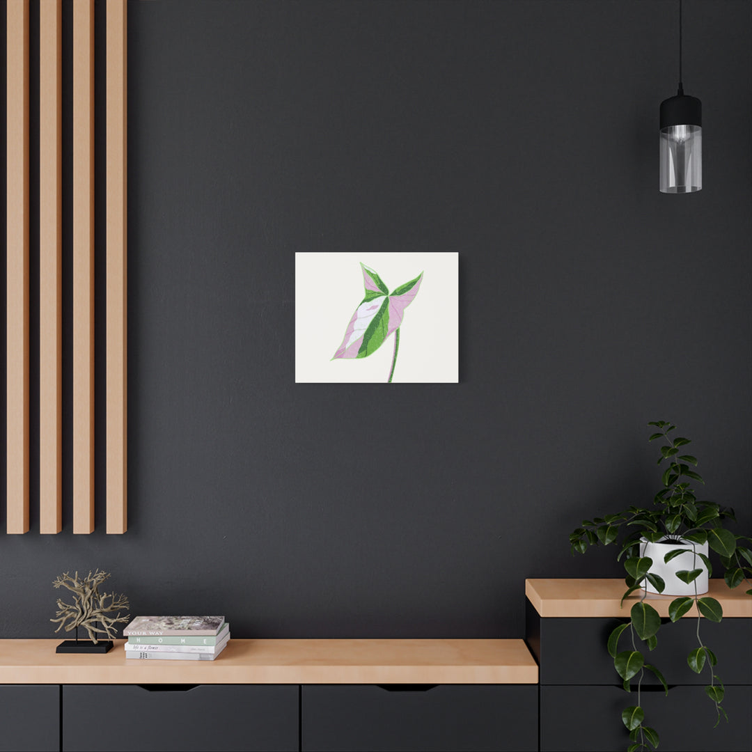 Syngonium Tricolor Canvas Print – Botanical Wall Art - The Potted Pixel