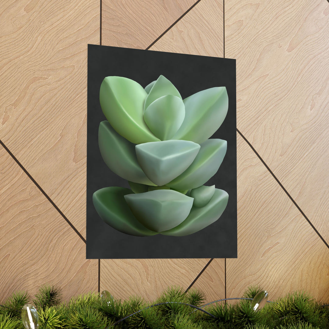 Crassula Botanical Print – Unframed Wall Art