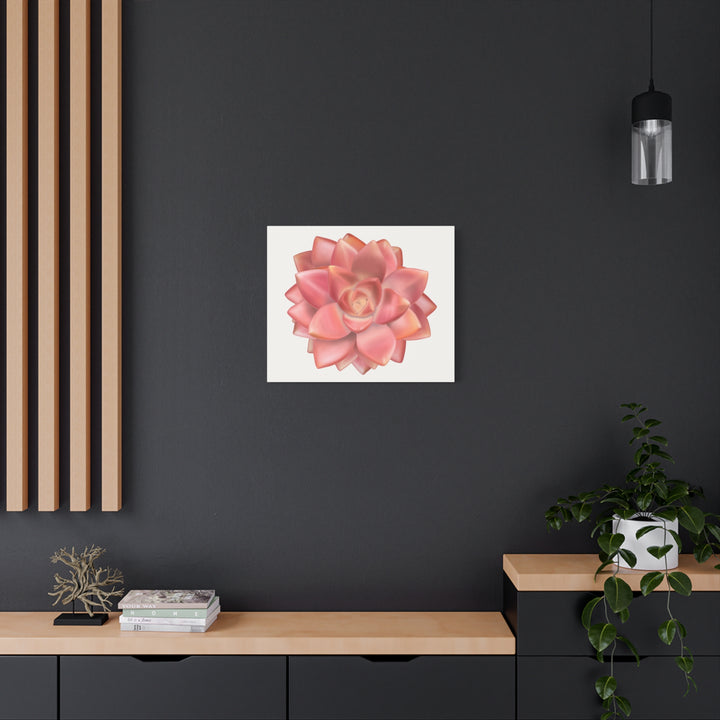 Succulent Canvas Art California Sunset Rosette Botanical Wall Art Print The Potted Pixel