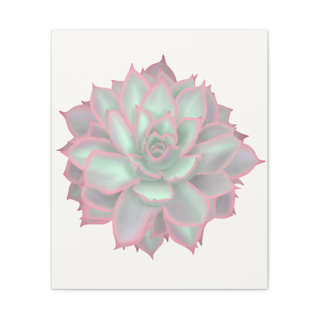 Echeveria Violet Queen Canvas Wall Art Rosette Succulent Print With Matte Finish