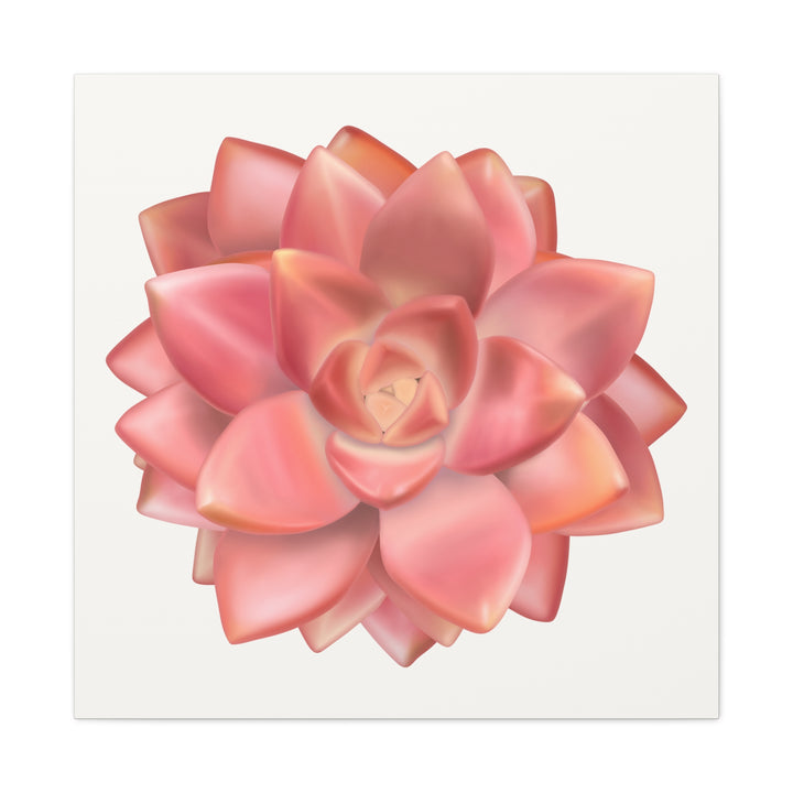 Succulent Canvas Art California Sunset Rosette Botanical Wall Art Print The Potted Pixel