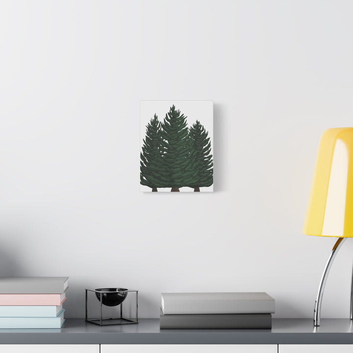 Douglas Fir Canvas Print – Wall Art
