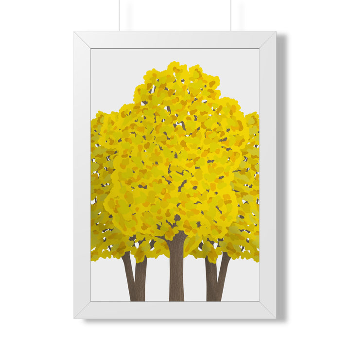 Big Leaf Maple Framed Print – Wall Art