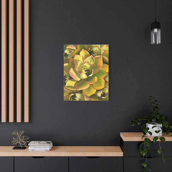 Succulent Canvas Art Vibrant Aeonium Print On Matte Canvas Wall Decor 12x18 Inches Indoor Home