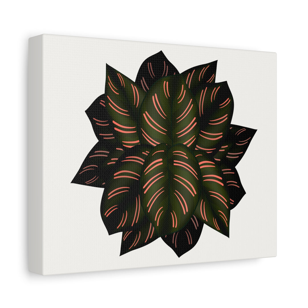 Calathea Pinstripe Canvas Botanical Wall Art Print On Stretched Cotton Canvas For Living Room Decor