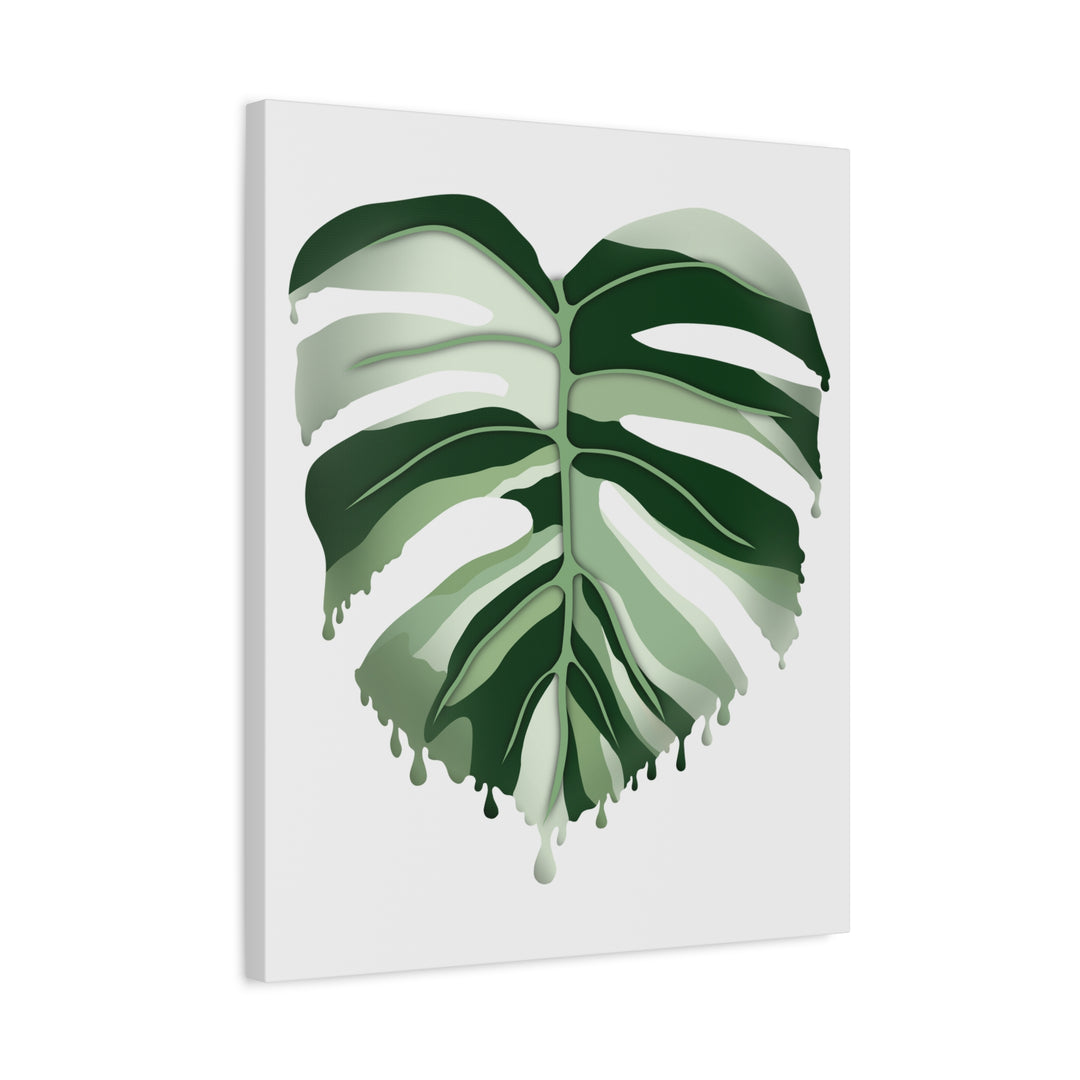 Melting Monstera Albo Canvas Large Indoor Wall Art Print Matte Finish Tropical Home Decor