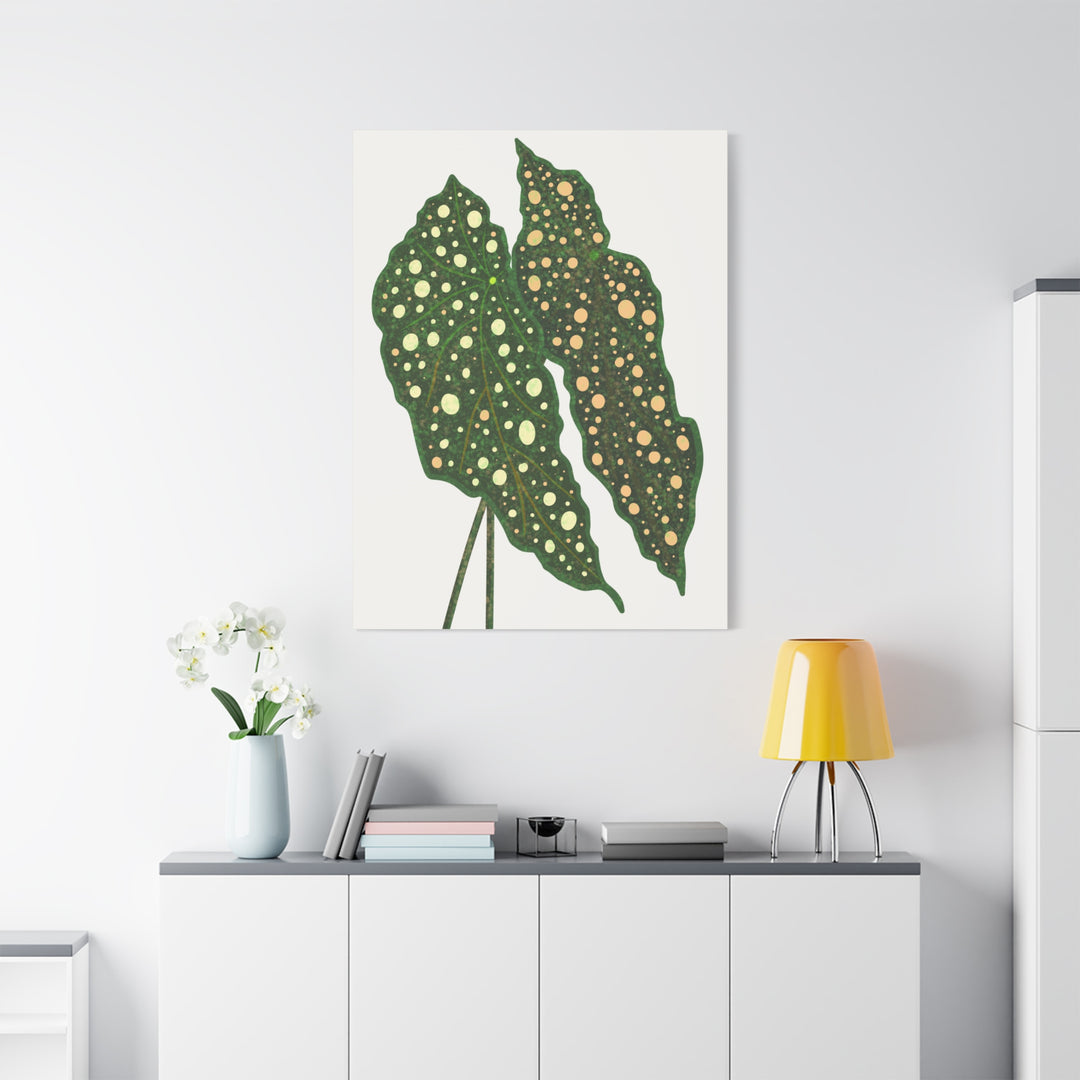 Begonia Maculata Canvas Premium Botanical Wall Art Print On Cotton Canvas With Matte Finish For Indoor Decor