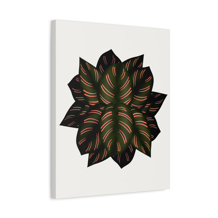 Calathea Pinstripe Canvas Botanical Wall Art Print On Stretched Cotton Canvas For Living Room Decor
