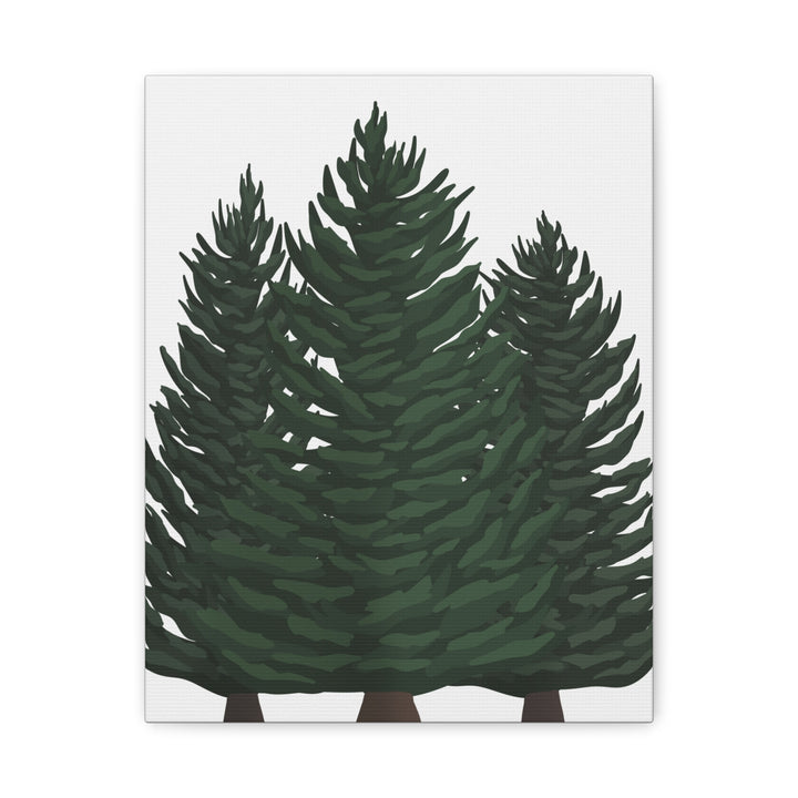 Douglas Fir Canvas Print – Wall Art