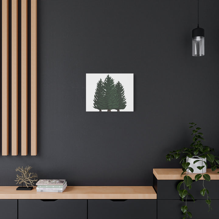 Douglas Fir Canvas Print – Wall Art