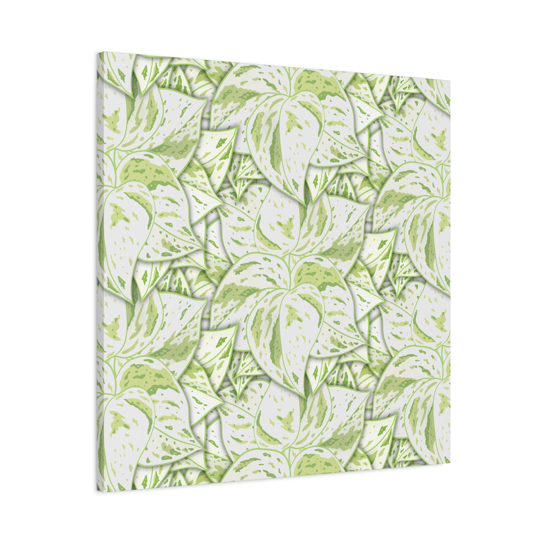 Snow Queen Pothos Canvas Print With Variegated White Leaves In Matte Finish For Modern Home Decor