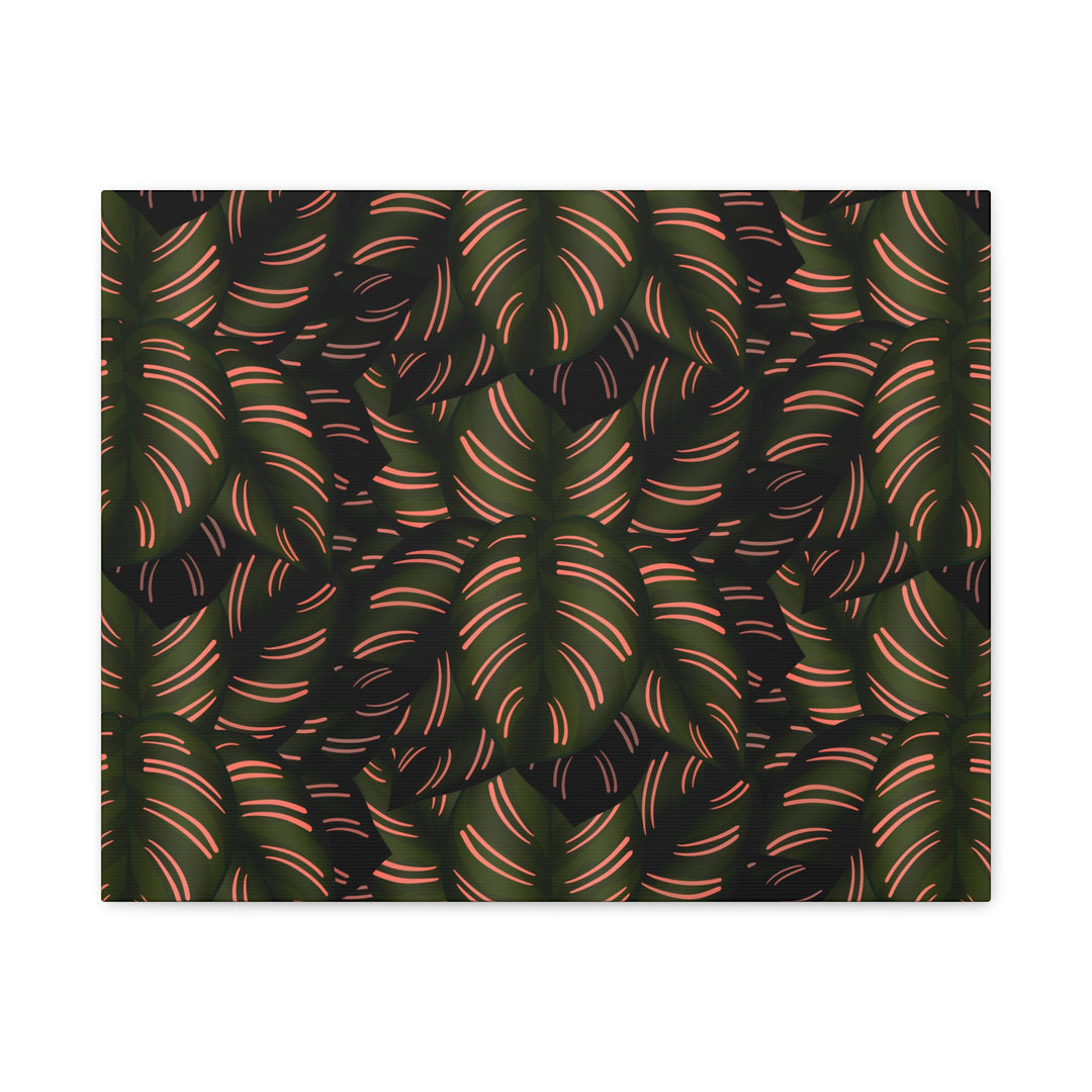 Calathea Pinstripe Canvas Print With Matte Finish Stretched Botanical Wall Art For Living Room Decor