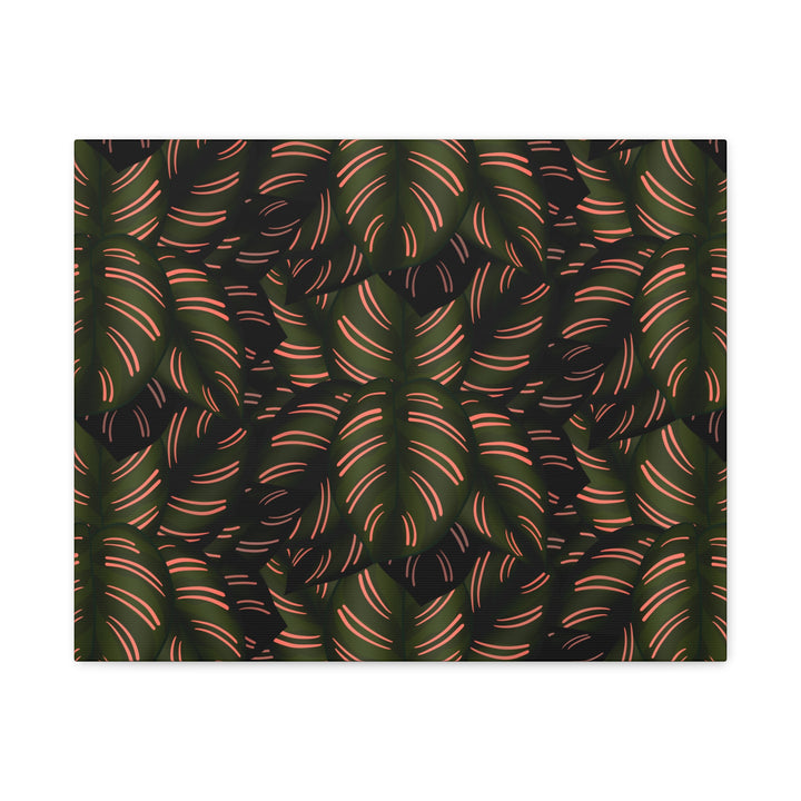 Calathea Pinstripe Canvas Print With Matte Finish Stretched Botanical Wall Art For Living Room Decor